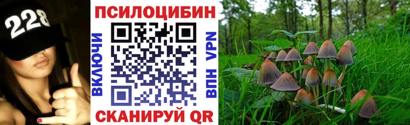 где купить   Моршанск  Псилоцибиновые грибы прущие грибы 