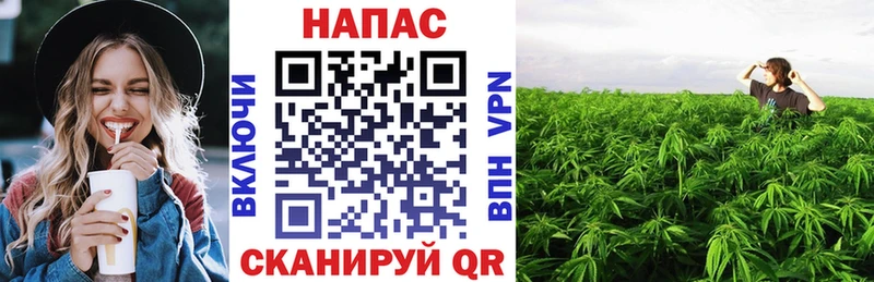Марихуана конопля  продажа наркотиков  Моршанск 